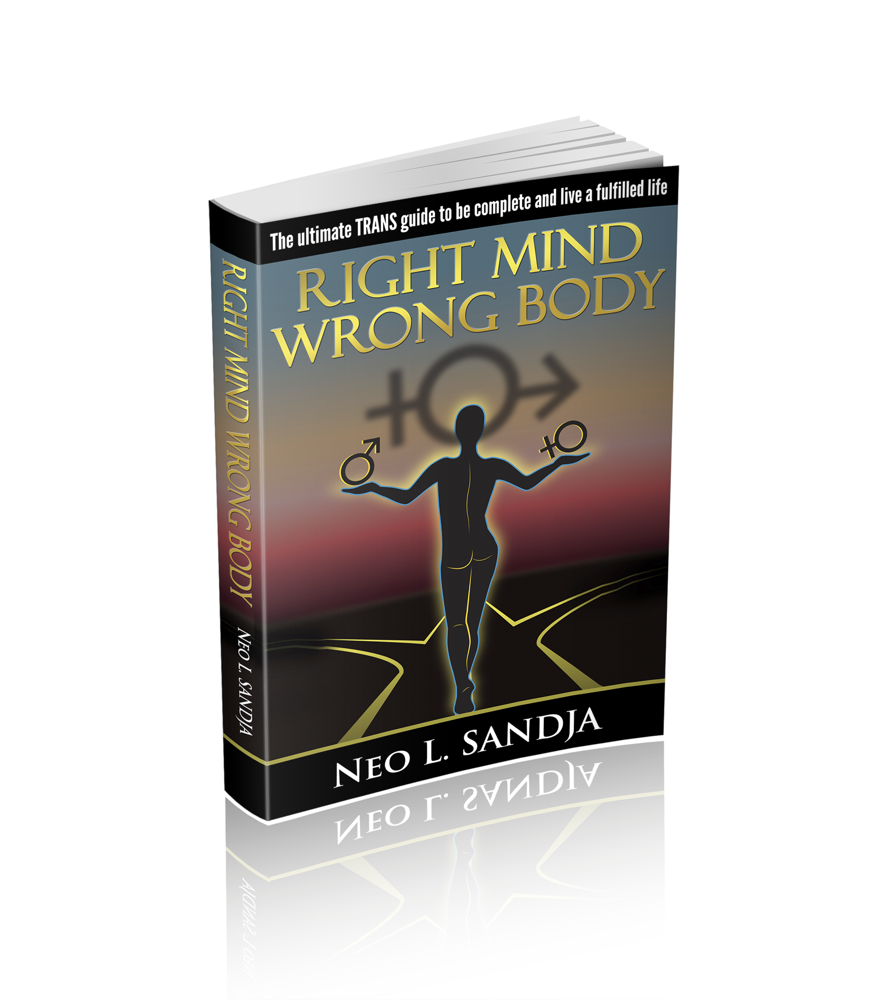 Right Mind, Wrong Body book cover